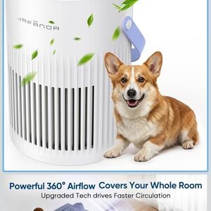 Air Purifier for home